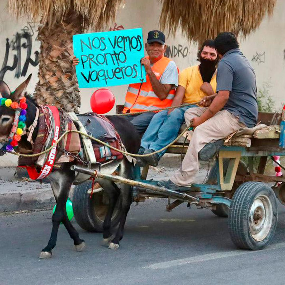 Realizan Caravana de Carromatos para Jubilar a Caballos en Torreón, Coahuila